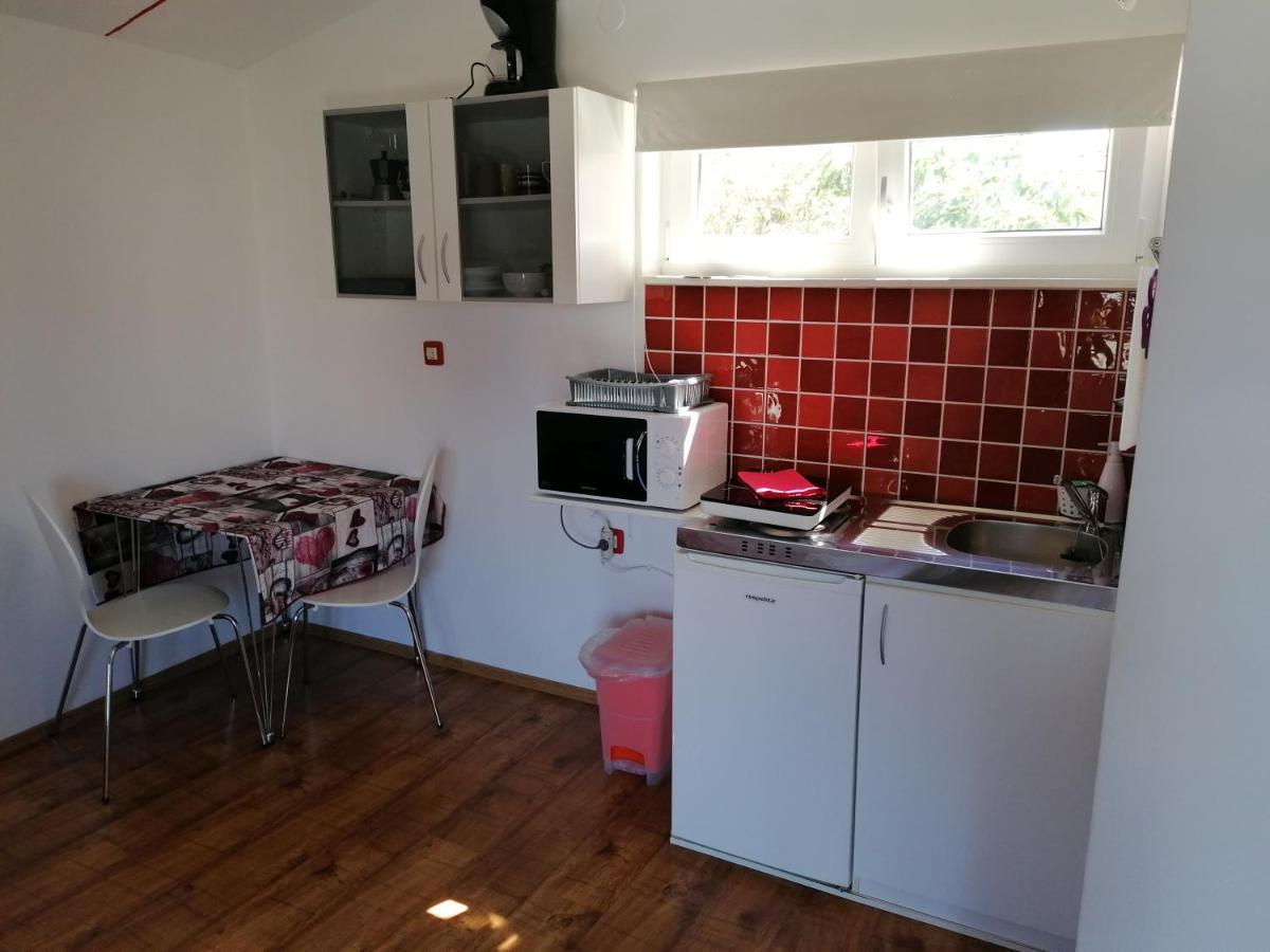Nice Studio Near Centar+Free Parking Ровинь Экстерьер фото